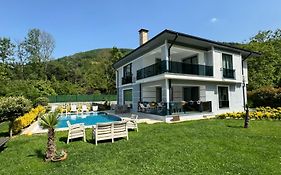 Sapanca Villa Dereiçi
